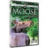 Nature: Moose - Life Of A Twig Eater DVD