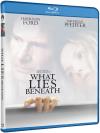What Lies Beneath Blu-ray (DTS Sound; Subtitled; Widescreen)