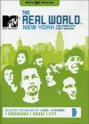 Real World: New York - Comp First - Real World: New York - Comp First - MTV's Th
