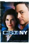 CSI: NY - The Complete Seventh Season DVD (Widescreen)