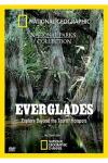 Everglades DVD (Subtitled; Widescreen)