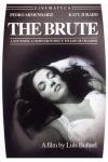 Brute DVD (Subtitled)