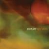 Pearl Jam - Light Years 7 Vinyl Single (45 Record) (Colored Vinyl)