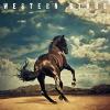 Bruce Springsteen - Western Stars VINYL [LP] (Gate; Ofv; Dli)