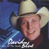 David Blue - Son Of The South CD