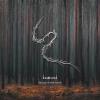 Lunatic Soul - Through Shaded Woods VINYL [LP] (Gate; Ofgv; Uk)