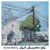 Nana Grizol - South Somewhere Else CD