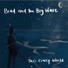 Brad & the Big Wave - This Crazy World CD