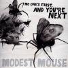 Modest Mouse - No One's First & You're Next VINYL [LP] (Dli)