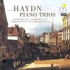 Haydn / Vienna Piano Trio - Piano Trios CD