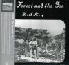 Scott Key - This Forest & The Sea CD