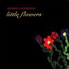 Antonis Ladopoulos - Little Flowers CD
