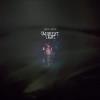 Shana Falana - Darkest Light CD