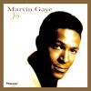 Marvin Gaye - Joy CD