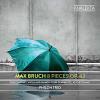 Bruch, Max / Philon Trio - Max Bruch: 8 Pieces Op 83 CD