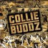 Collie Buddz - Collie Buddz CD (Edited)