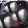 Labirynt - Motion Tissue CD