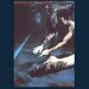 Siouxsie & The Banshees - Scream CD (Bonus Tracks; Remastered)