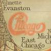 Chicago - Chicago XI VINYL [LP] (Gate; Limited Edition)