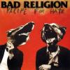 Bad Religion - Recipe For Hate VINYL [LP]