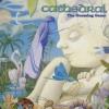 Cathedral - Guessing Game CD (Uk)