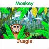 Ty Stoller - Monkey Jungle CD