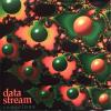 Data Stream - Conscious CD