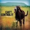 Finest Grain - Cant Control It CD