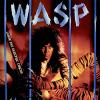 W.A.S.P. - Inside The Electric Circus CD