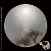 Norris, Lee Anthony / Porya Hatami - Longing Daylight CD