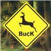 Buck - Buck CD