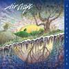 Air Craft - Divergent Path CD