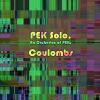 Pek Solo, An Orchestra of Peks - Coulombs CD