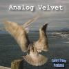 Analog Velvet - Tales From Podunk CD