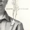 Josh Ritter - Joy To You Baby 7 Vinyl Single (45 Record)
