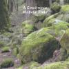 Michelle Ende - Circurrence CD