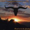 John David - Break It To The Cowboy CD