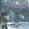 Chuck Jonkey - Steaming Baths CD