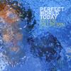 Peter Galperin - Perfect World Today CD