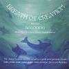 Sounding - Breath Of Creation CD