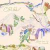 Chris Robinson - Barefoot In The Head CD
