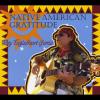 Tony Eagleheart Garcia - Native American Gratitude CD