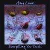 Amy Lowe - Everything You Touch CD