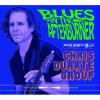 Chris Duarte - Blues In The Afterburner CD