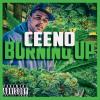 Ceeno - Burning Up CD