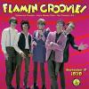 Flamin' Groovies - Live From The Vaillancourt Fountains September 19 CD