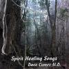 Dave Cumes - Spirit Healing Songs CD (CDR)