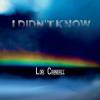 Lori Crandall - I Didn't Know CD (CDRP)