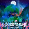 Goodbye June - Magic Valley CD