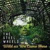 Steel Wheels - Wild As We Came Here CD